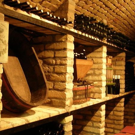 Borbaratok Panzio Otel Badacsonytomaj Dış mekan fotoğraf