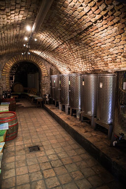 Borbaratok Panzio Otel Badacsonytomaj Dış mekan fotoğraf